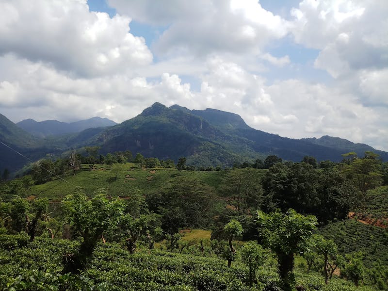 Kompanzasyon Panosu Nedir? Ne İşe Yarar?
